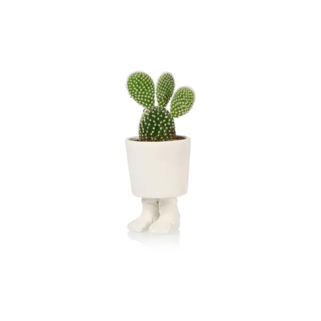 Bitten - Pot de Plante Sandales Gladiateurs - porcelaine - small