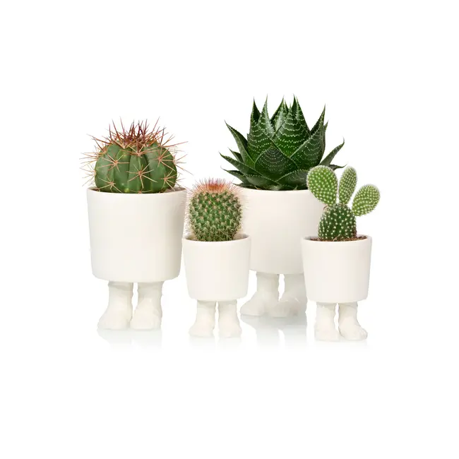 Bitten - Pot de Plante Sandales Gladiateurs - porcelaine - small