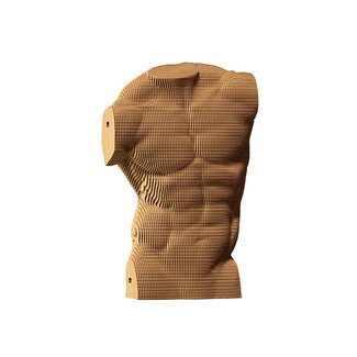 Cartonic 3D-Puzzle Männertorso