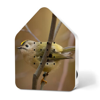 Relaxound Twitter Box Motion Detector - Limited Edition Goldcrest