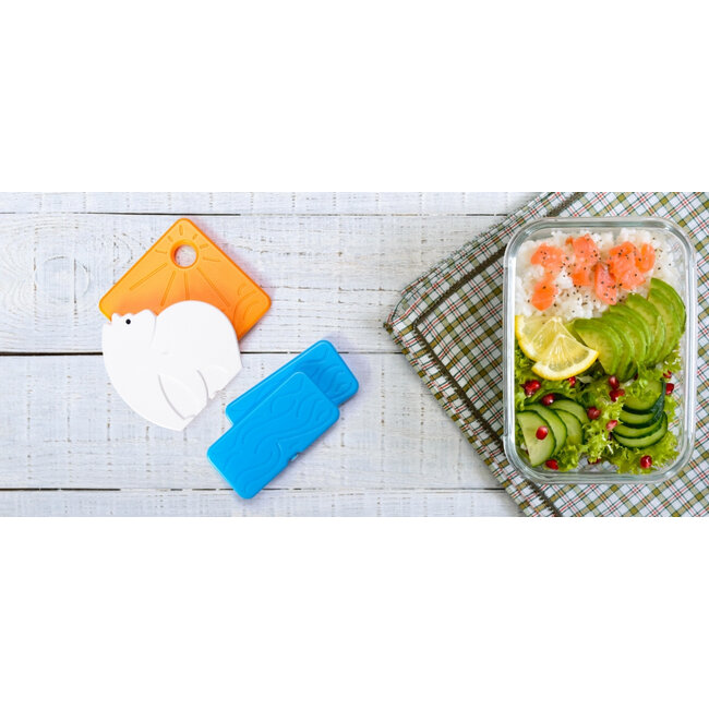 Monkey Business - Pack de Glace Back to Cool Ourse