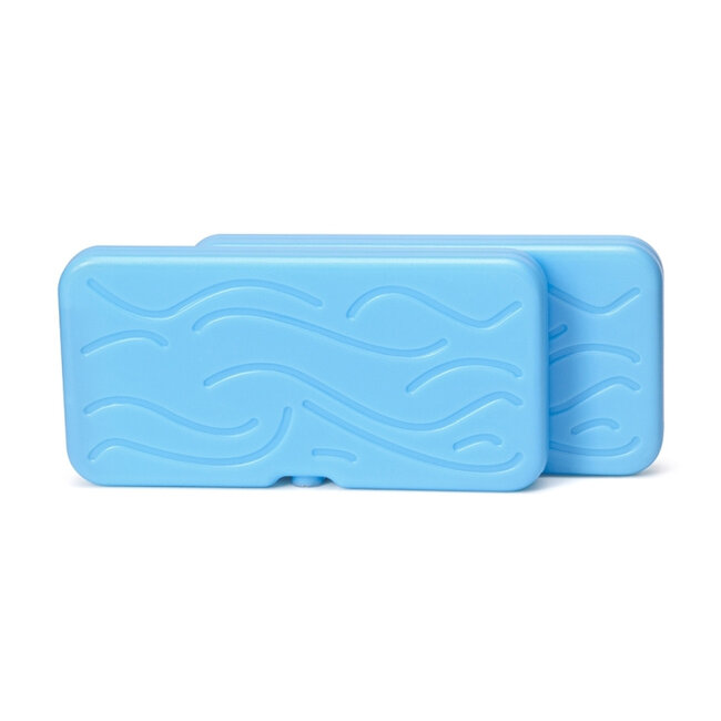 Monkey Business - Pack de Glace Back to Cool Ourse