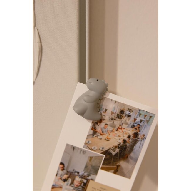 Magnets Dino Jeroom - set of 4