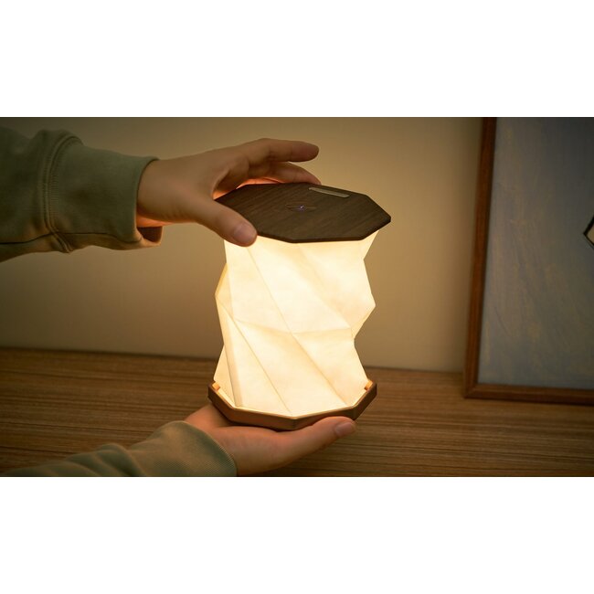 Gingko - Twist Hexagon Lamp - walnut