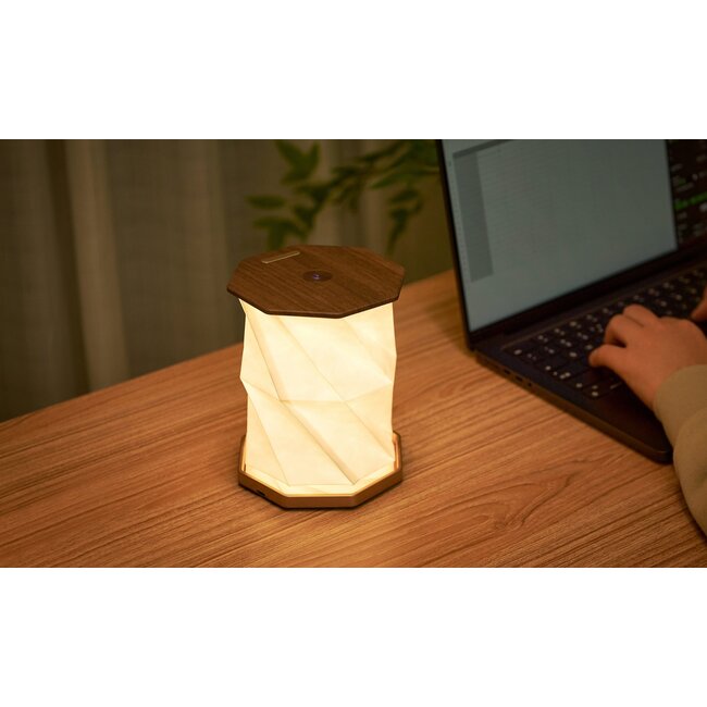 Gingko - Twist Hexagon Lamp - walnut