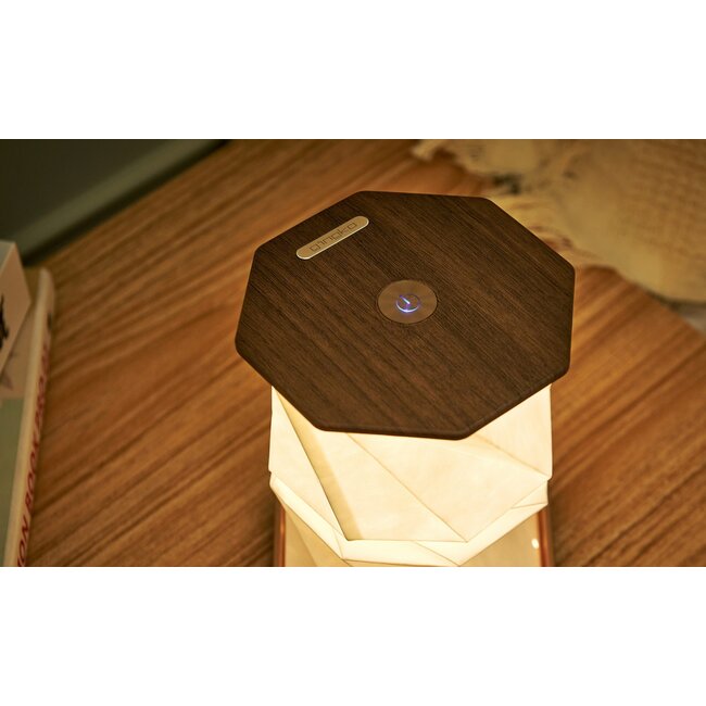 Gingko - Twist Hexagon Lamp - walnoot