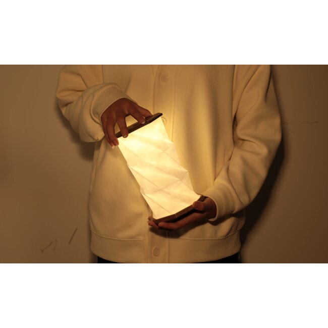 Gingko - Twist Hexagon Lampe - Walnuss