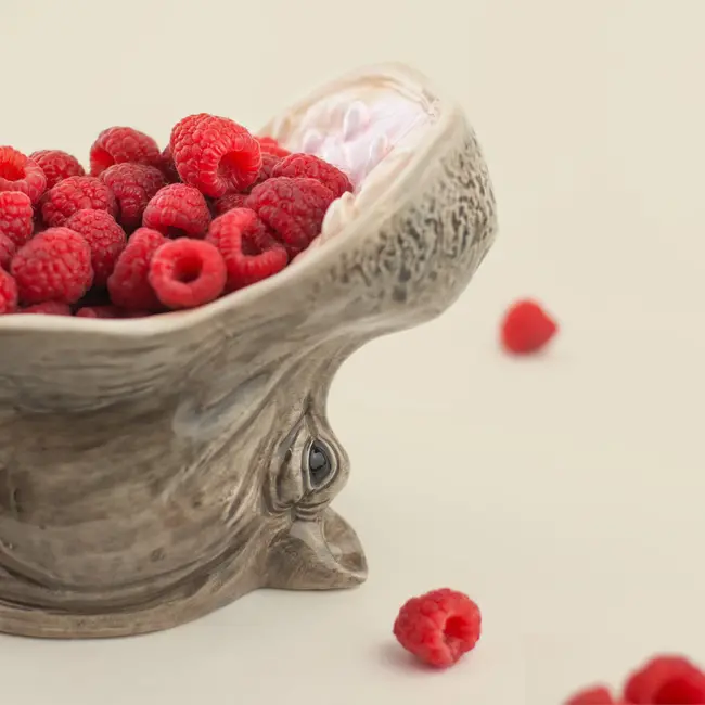 Donkey - Schaal Hongerig  Nijlpaard