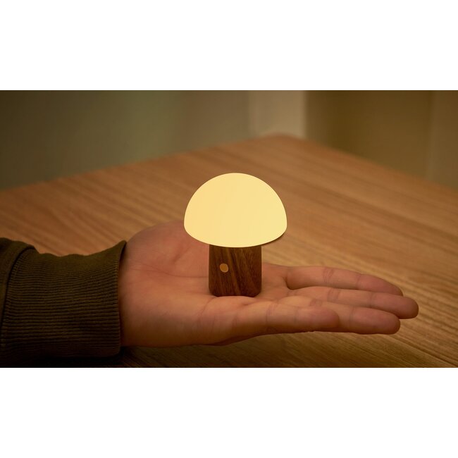 Gingko - Super Mini Alice Mushroom Lamp - walnut - color changing - rechargeabler