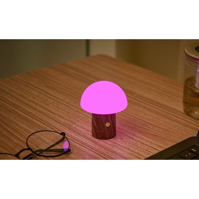 Gingko - Super Mini Lampe Champignon Alice - noyer - changement de couleur - rechargeable