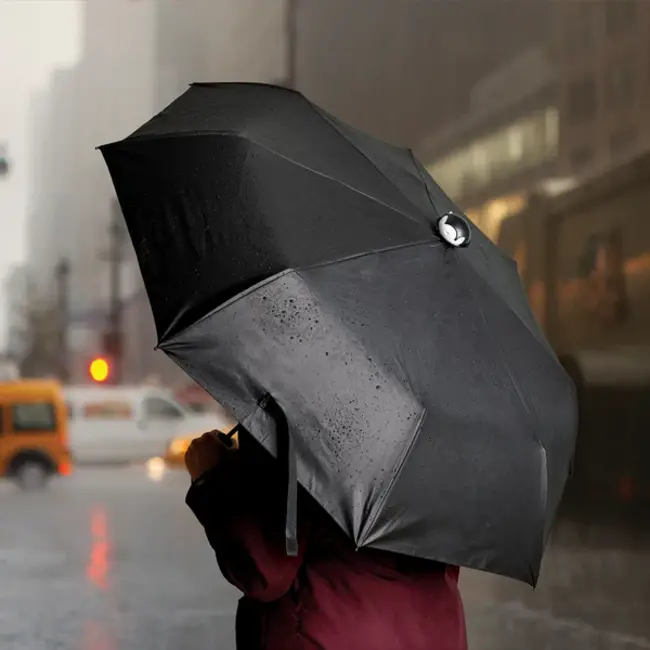 Ototo - Umbrella Spookula