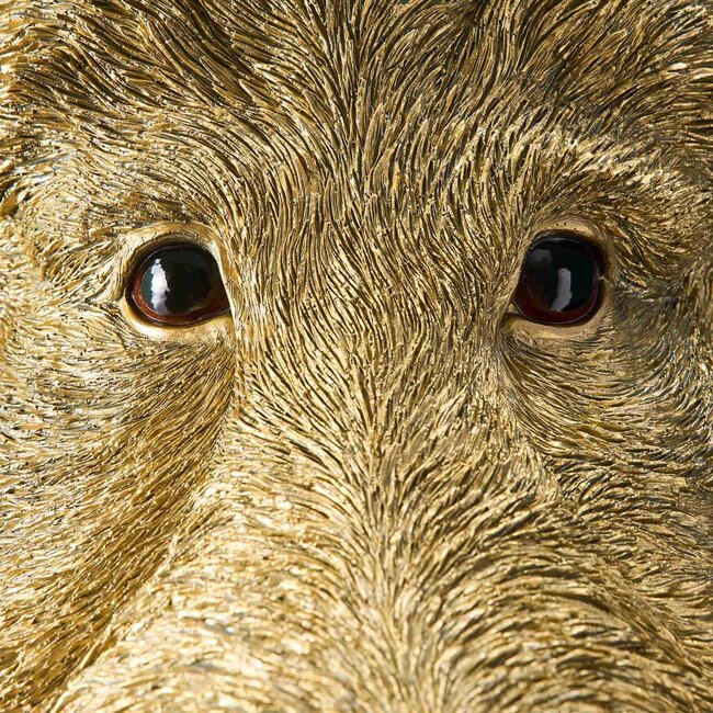 Werner Voß Werns - Wandleuchte - Tierleuchte Wildschwein Willy - Gold