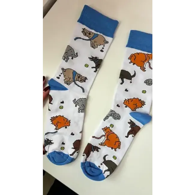 Eat Mielies Socken Kackende Hunde