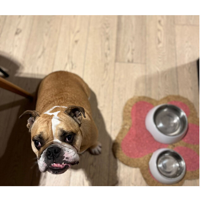 Fisura - Fußmatte Katze Fußabdruck