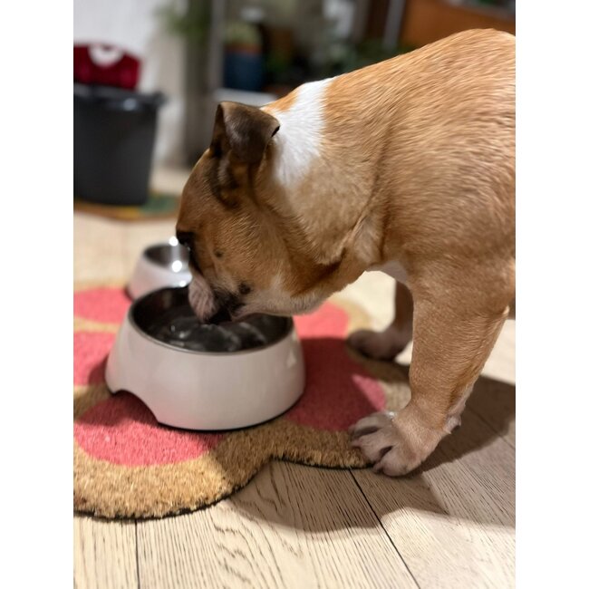 Fisura - Doormat Cat Footprint