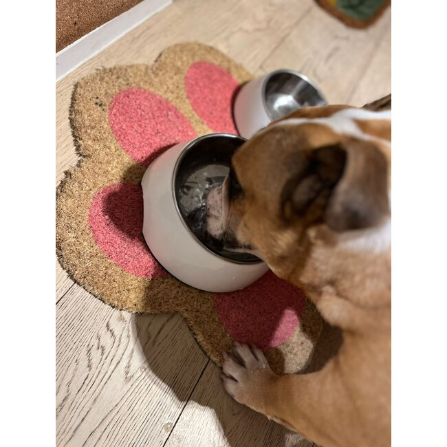 Fisura - Deurmat Pootafdruk Kat