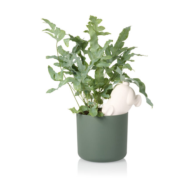 Bitten - Pflanzenbewässerer Kaninchen