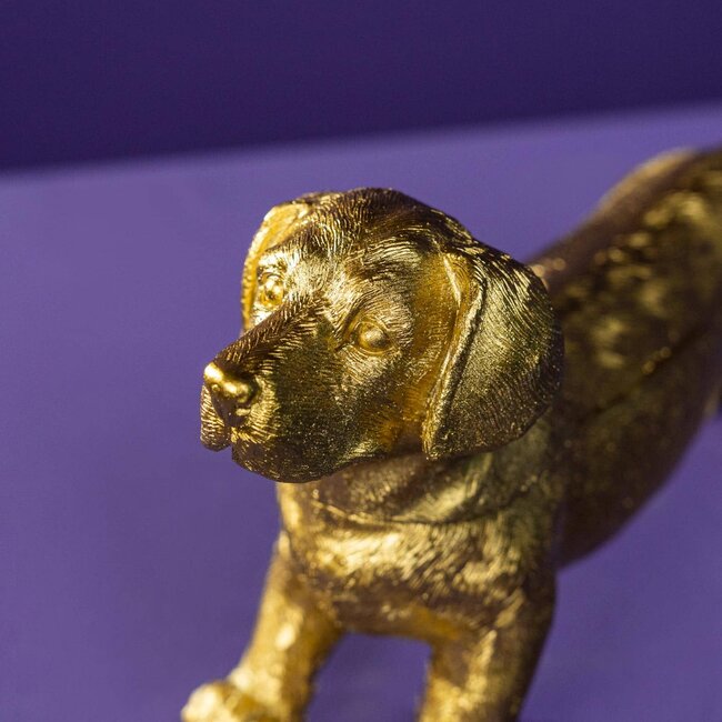 Werners Voß Werns - Jewelry Box Dachshund