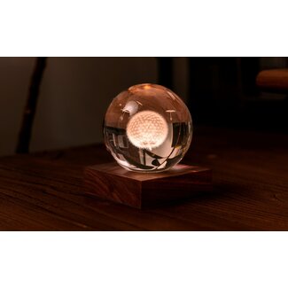 Gingko Amber Crystal Light -  Dandelion
