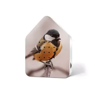 Relaxound Twitter Box Motion Detector - Limited Edition Great Tit Print