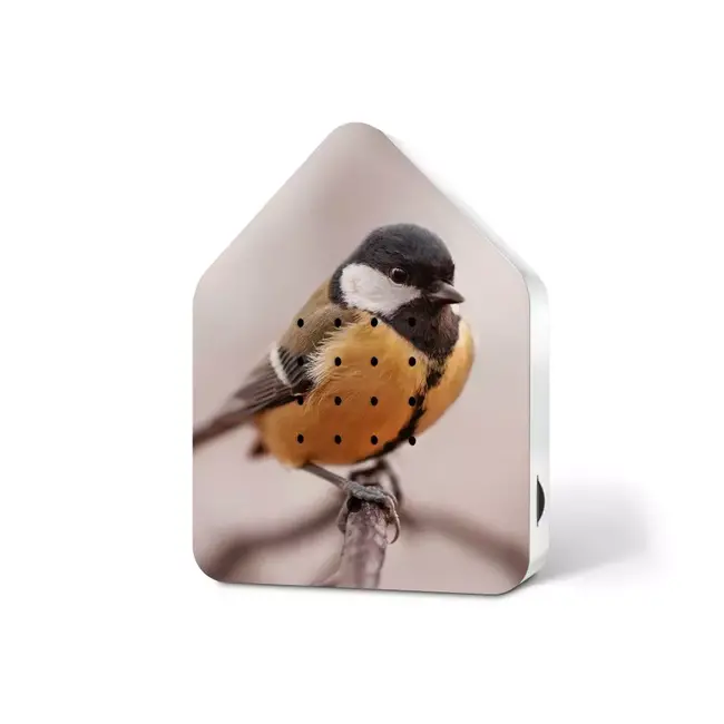 Relaxound Box Gazouillis Détecteur de Mouvement - Limited Edition Mésange Print