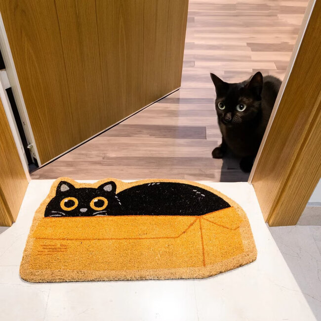 Fisura - Paillasson Chat dans une Boîte