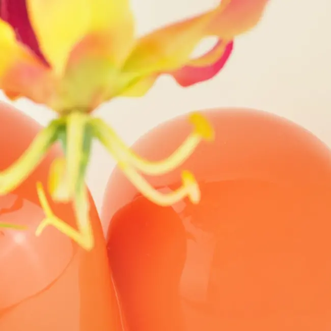 Donkey - Vase Arts Of Parts Sulcus