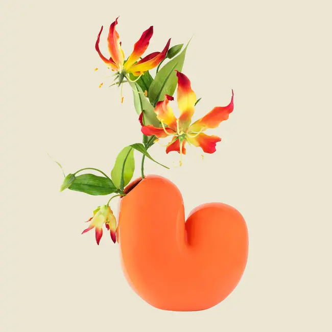 Donkey - Vaas Arts Of Parts Sulcus