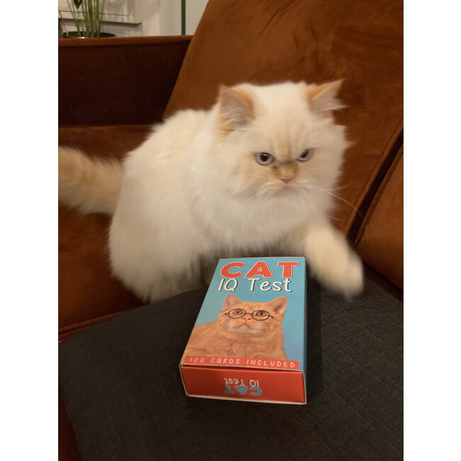Gift Republic - Kat IQ Test