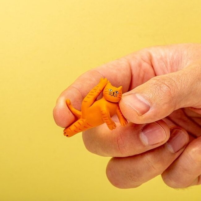 Trendform - Chats Yoga - ensemble de 5