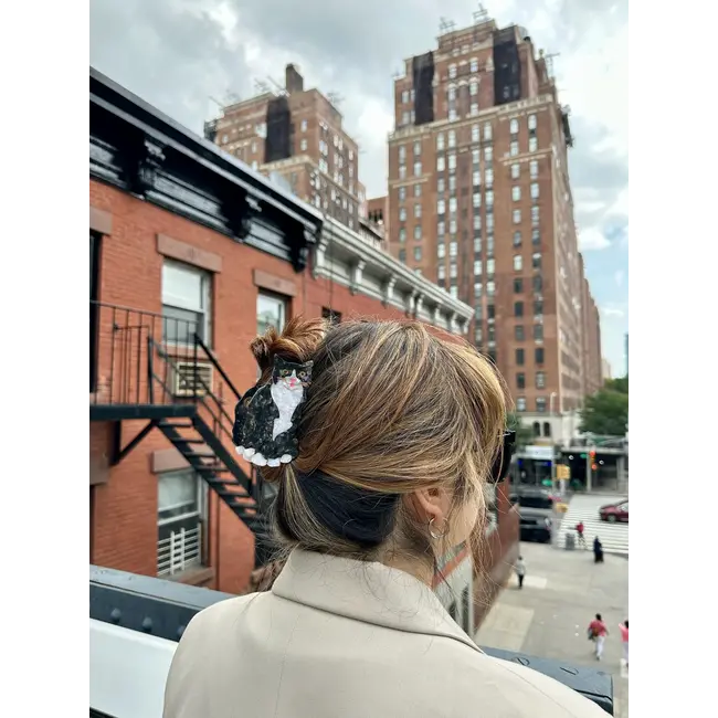 Solar Eclipse - Haarclip - Ragdoll Kat