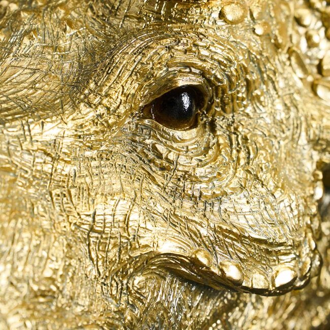 Werner Voß Werns - Design - Wandleuchte - Tierlampe Dino Triceratops Cera