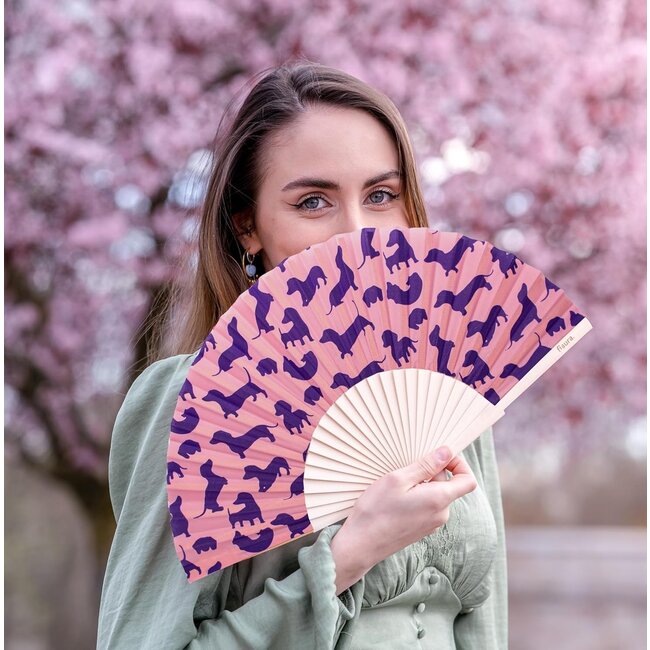 Fisura - Spanish Fan Dachshund - Wiener Dog - Sausage Dog