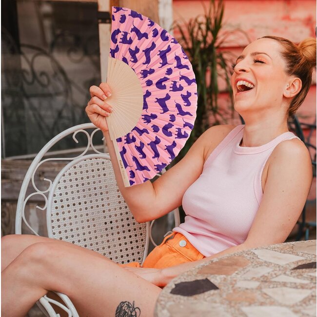 Fisura - Spanish Fan Dachshund - Wiener Dog - Sausage Dog