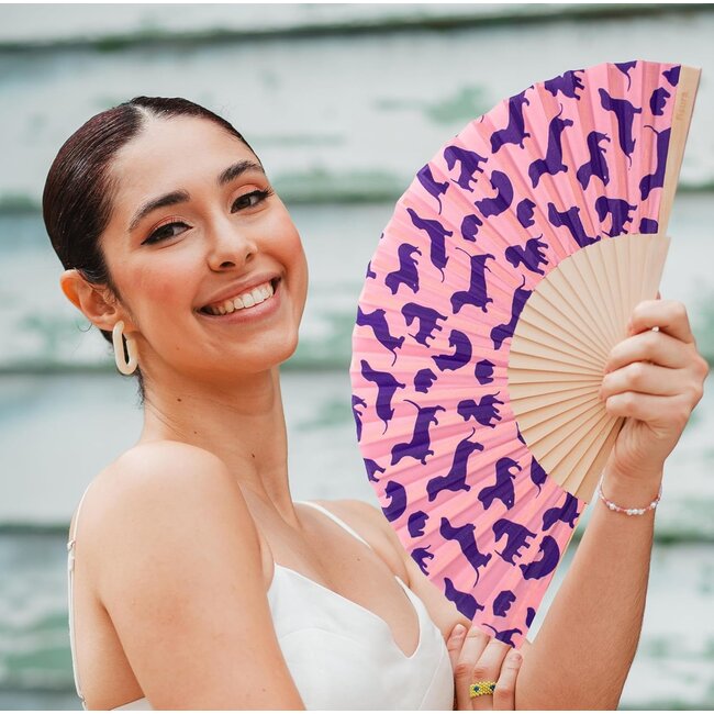 Fisura - Spanischer Fächer Dackel - Wiener Hund