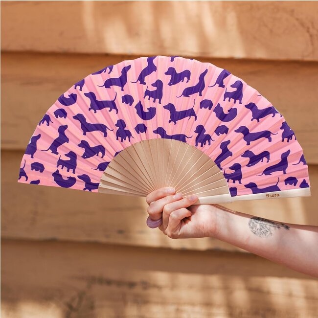 Fisura - Spanischer Fächer Dackel - Wiener Hund