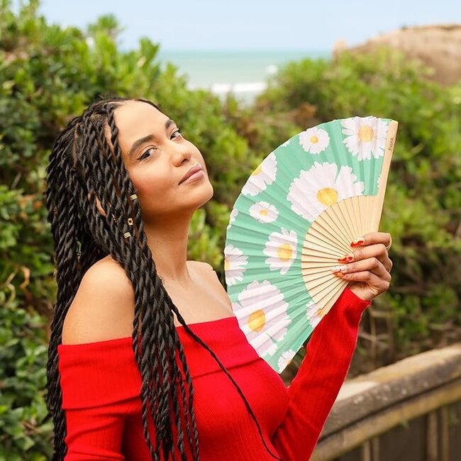 Fisura - Spanish Fan Daisy