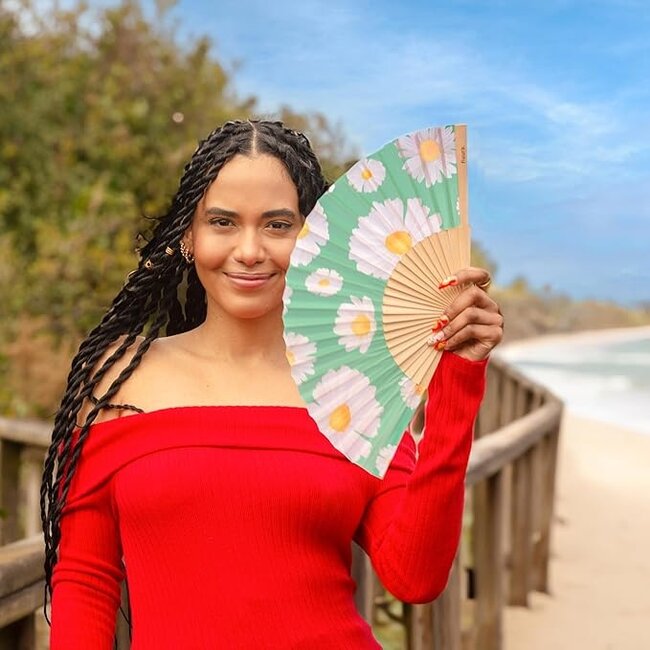 Fisura - Spanish Fan Daisy