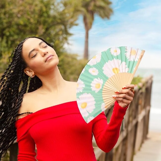 Fisura - Spaanse Waaier Daisy