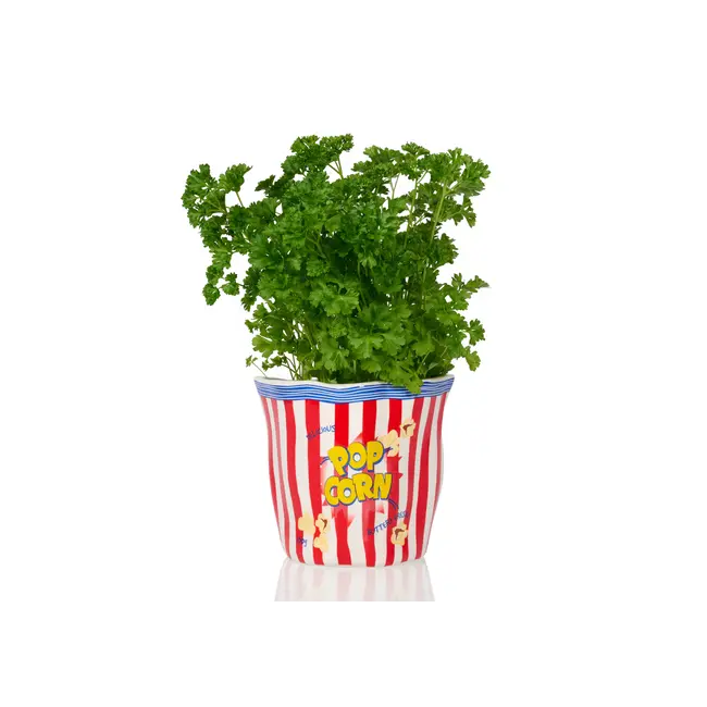 Bitten - Popcorntüte - Keramik