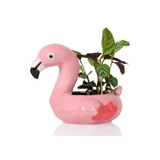 Bitten Floaty Flamingo Pot