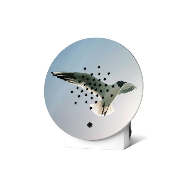 Relaxound Oceanbox Détecteur de Mouvement - Edition Limitée Mouette Rieuse