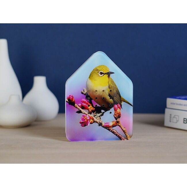 Relaxound - Zwitscherbox - Twitter Box Motion Detector - Bird Sounds - Limited Edition Silvereye Print