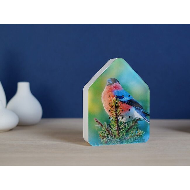 Relaxound - Zwitscherbox - Box Gazouillis Détecteur de Mouvement - Bruits d'Oiseaux - Limited Edition Bouvreuil Print