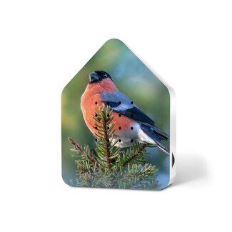 Relaxound Twitter Box Motion Detector - Limited Edition Bullfink Print