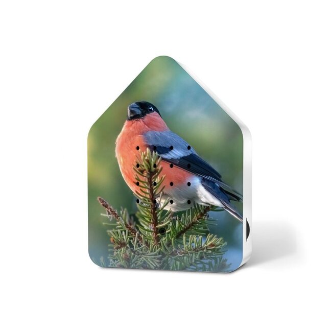 Relaxound - Zwitscherbox - Box Gazouillis Détecteur de Mouvement - Bruits d'Oiseaux - Limited Edition Bouvreuil Print
