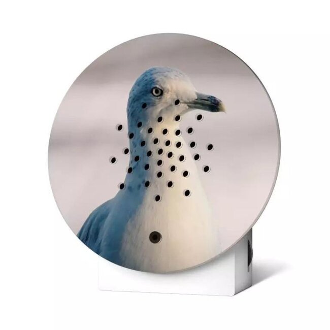 Relaxound - Oceanbox Bewegingsmelder - rustgevende oceaangeluiden - Limited Edition Witte Meeuw