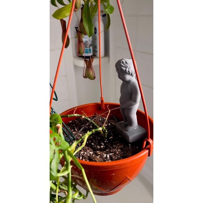 npw - Plantenbewateraar Pee My Plants