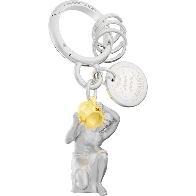 Metalmorphose - Porte-clés Zodiaque Verseau - Collection Horoscope