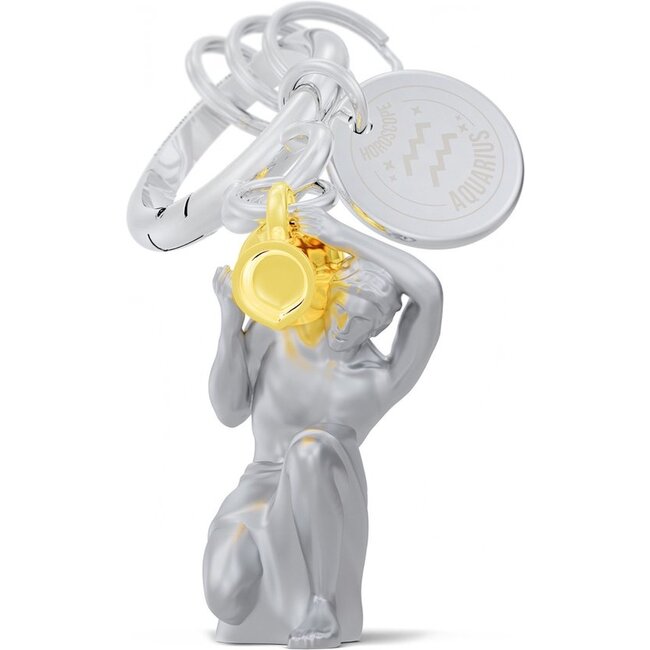 Metalmorphose Keychain Zodiac Aquarius